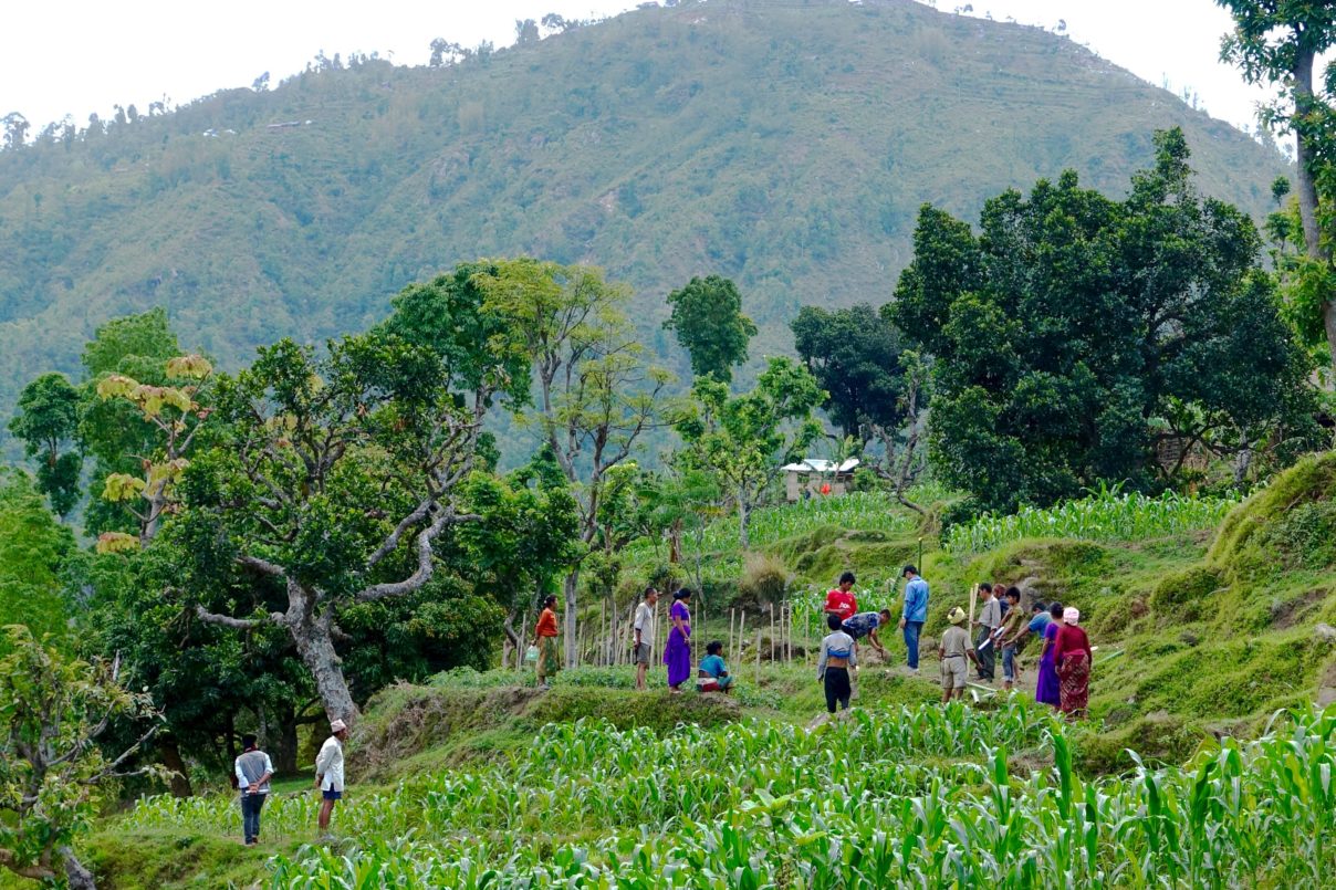 Donor - Sajag-Nepal